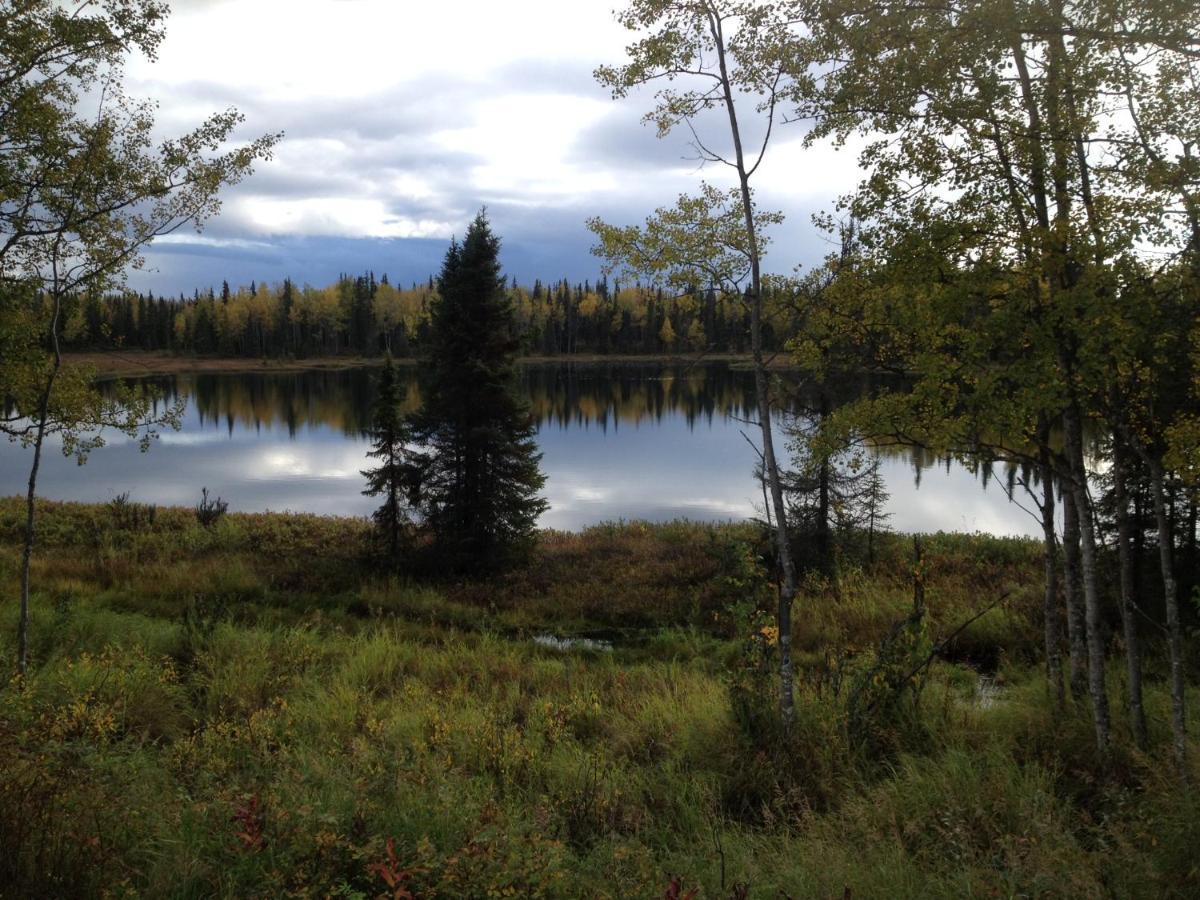 Whispering Woods Ak Cabins Kasilof Esterno foto